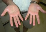 hands.jpg hands.jpg